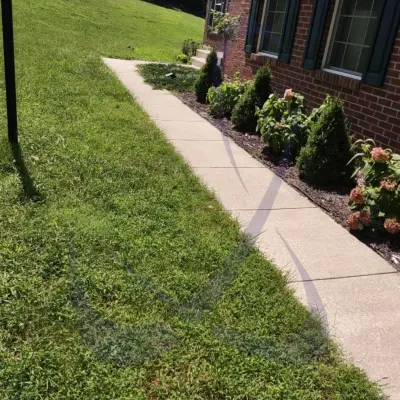 JVS General Contractor - Driveway Repair & Paving in Baltimore, MD