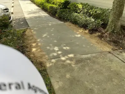 Top Notch Concrete Services, Inc. - Landscape Design in Lady Lake, FL