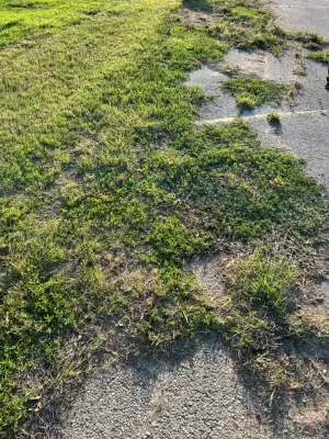 JDS Asphalt - Landscape Construction in Hutto, TX