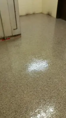 Epoxy chip flooring — Driveway Repair & Paving project by Enduracrete
