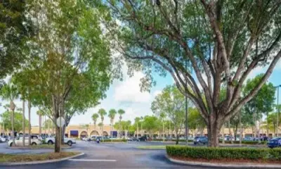 Blackbird Pavement Solutions - Driveway Repair & Paving in Odessa, FL