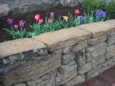 Sunrise Gardens LLC - Landscape Design/Build - Drought-Resistant Lawn Installation in Darien, WI
