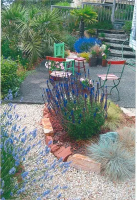 Sunset Landscape and Design - Tree & Shrub Care in Snohomish, WA
