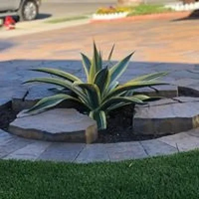 Sunset Pavers Inc. - Drip Irrigation System Installation in Orange, CA