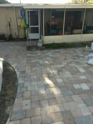 All Complete Inc - Tree & Shrub Care in Clearwater, FL