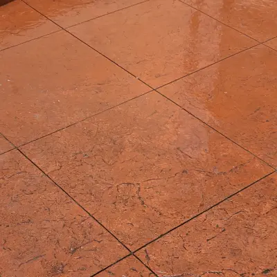 Crimson Pathway — Driveway Repair & Paving project by Alvizar Juan Salvador Garcia