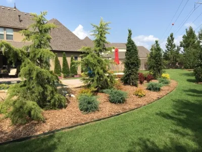 Superscapes - Tree & Shrub Care in Tulsa, OK