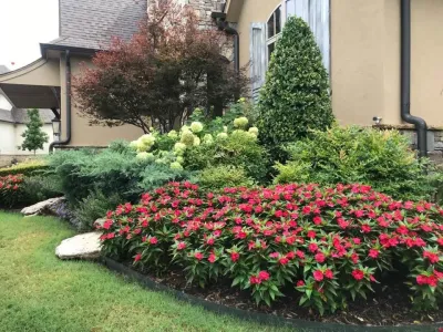 Superscapes - Tree & Shrub Care in Tulsa, OK