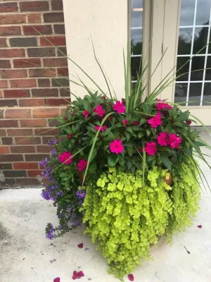 Superscapes - Tree & Shrub Care in Tulsa, OK