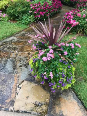 Potted Arrangements — Landscape Construction project by Superscapes