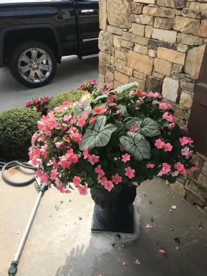 Superscapes - Tree & Shrub Care in Tulsa, OK