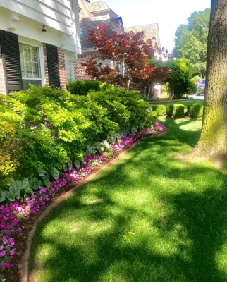 Shady Front Yard Landscape — Landscape Construction project by Superscapes
