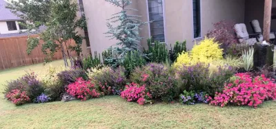 Superscapes - Tree & Shrub Care in Tulsa, OK