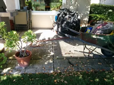California Concrete Overlay Inc. - Stone & Concrete Installation in Concord, CA