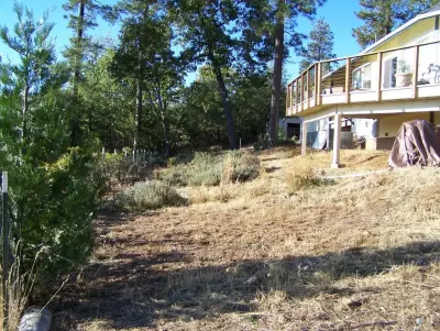 Hillstone Landscape and Grading - Stone & Concrete Installation in Placerville, CA