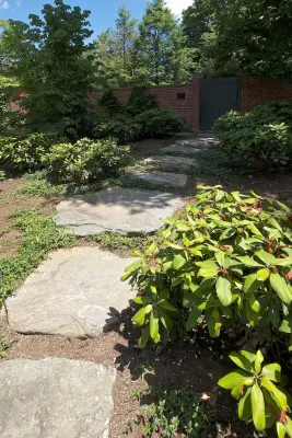 Sculptured Earth, Corp. - Commercial Construction Services in Boston, MA