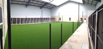 Synthetic Greenscapes - Landscape Construction in Richardson, TX
