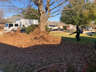 Leaf Cleanup by New Horizon Design & Build