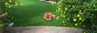 Synthetic Lawns of Florida - Drought-Resistant Lawn Installation in Deerfield Beach, FL