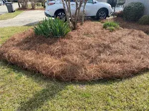 Olvera Concrete Landscaping - Stone & Concrete Installation in Lumberton, NC