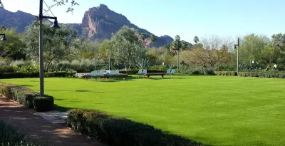 Synthetic Turf Systems - Landscape Construction in Chandler, AZ
