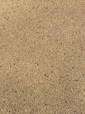 Pebble Polymer — Stone & Concrete Installation project by Craftsman Coatings