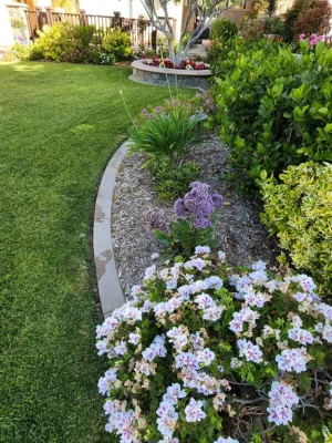 MR Ortiz Landscaping Inc. - Landscape Construction in La Habra, CA