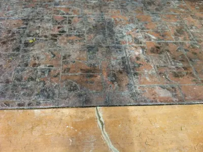 Textured Concrete Overlay — Stone & Concrete Installation project by Stone Designs