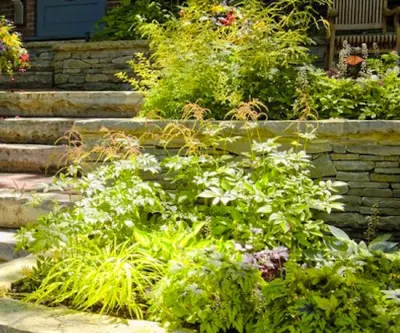 Taylor Brothers Landscape - Landscape Design in Parker, CO