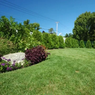 Taylor Brothers Landscape - Landscape Design in Parker, CO