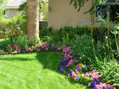 Taylormade Landscapes, LLC - Tree & Shrub Care in Las Vegas, NV