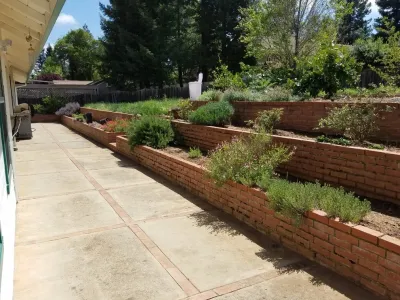 Backyard Remodel — Landscape Construction project by Tc Landscape Construction And Maintenance Inc