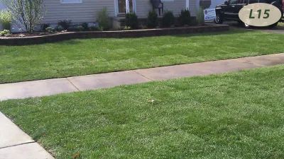 Lawn Care — Landscape Construction project by Teddy's Lawn & Landscape