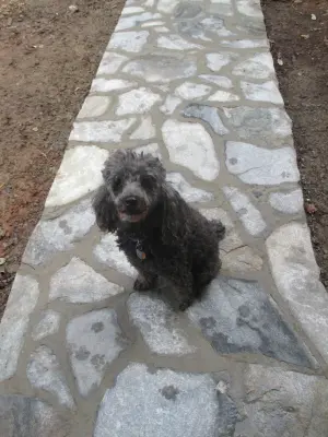 S F Flynn Masonry - Tile & Stone Installation Services in Mill Spring, NC