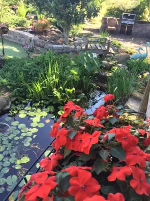 Tranquil Escapes LLC - Patio Design & Installation in Camden, SC