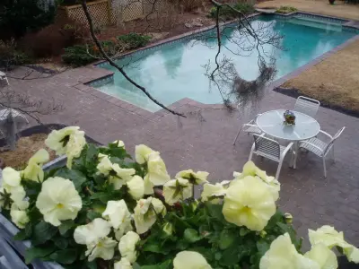 Pool Edging — Stone & Concrete Installation project by Tranquil Escapes LLC