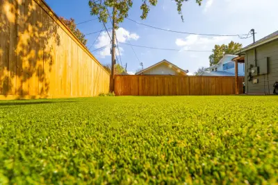 Synthetic Grass Setup by BioScapes LLC