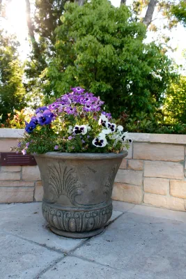 Scenic Terrace — Landscape Construction project by Terra Ferma Landscapes