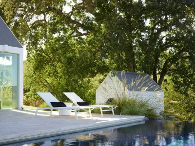 Napa Hillside — Landscape Construction project by Terra Ferma Landscapes in Napa
