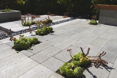 San Francisco Screen House — Landscape Construction project by Terra Ferma Landscapes in San Francisco