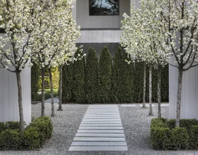 Mountain Home Modern by Terra Ferma Landscapes