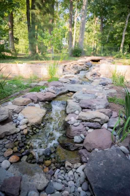 Terra Landscape and Design - Landscape Maintenance in Falls Church, VA