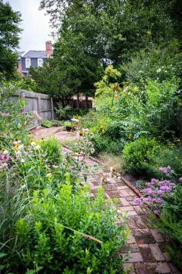Terra Landscape and Design - Landscape Maintenance in Falls Church, VA