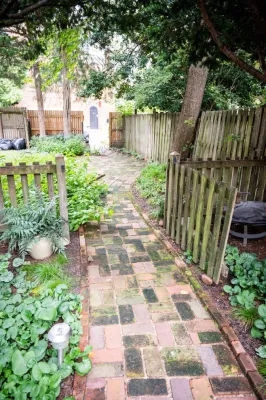Terra Landscape and Design - Landscape Maintenance in Falls Church, VA