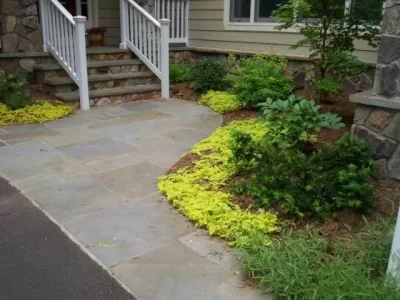 Terra Landscape and Design - Landscape Maintenance in Falls Church, VA