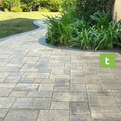 Treeium Outdoor Living - Patio Design & Installation in Studio City, CA