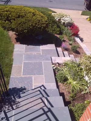 Terra Landscape and Design - Landscape Maintenance in Falls Church, VA