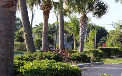 Terra Landscaping Inc. - Garden Remodeling in Punta Gorda, FL