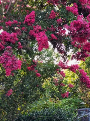 MR Ortiz Landscaping Inc. - Landscape Construction in La Habra, CA