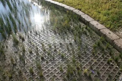 Bomanite Grasscrete Permeable Concrete System utilizing Molded Pulp Formers — Stone & Concrete Installation project by Bomanite Of Oklahoma